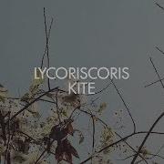 Lycoriscoris Kite