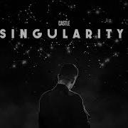 Singularity Castle