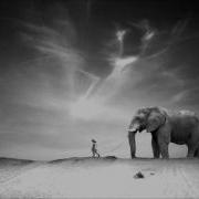 Ten Walls Walking With Elephants Original Mix