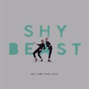 Shy Beast No Time For Love