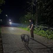 Давайте Знакомиться Это Я Ваша Tiha Fortuna