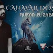 Murad Elizade Canavar Dostum