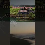Фразы Ботаника