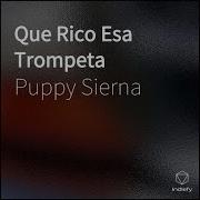 Puppy Sierna Que Rico Esa Trompeta