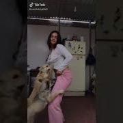 Видео 18 Zoo Videos Animal Sex Dog Lick Pussy