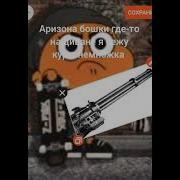 Аризона Бошки Караоке