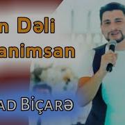 Ferhad Bicare 2020