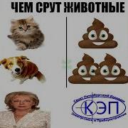 Пту Для Гоблинов