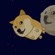 Doge Song