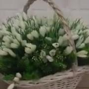 Юрий Шатунов Подснежники