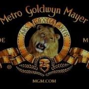 Mgm 2008
