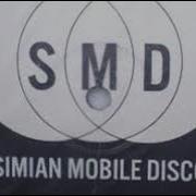 Simian Mobile Disco Cruel Intentions Single Version Instrumental