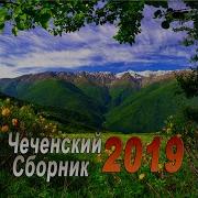 Танзила Усаева Хьо Ву Уллехь Даимна Соьца