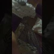 Я Тигр Наподаю