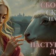 Сказки Для Взрослых