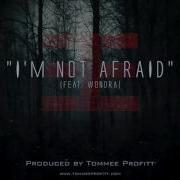 I M Not Afraid Tommee Profitt