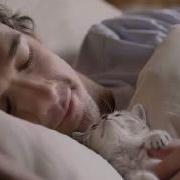 Реклама Whiskas Мама 2006