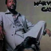 T Plays It Cool Marvin Gaye