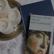 Hermann Hesse Bücher