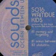 Wamdue Kids Memory And Forgetting