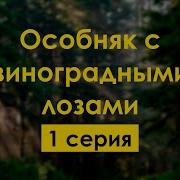 Особняк С Виноградными Лозами