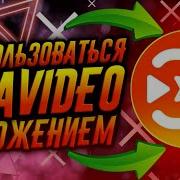 Viva Video Привет Здрасте