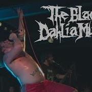 The Black Dahlia Murder What A Horrible Night To Have A Curse