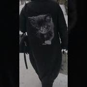 Рундук