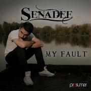 Senadee My Fault Bissen Remix