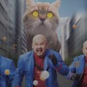 Коты Воители Канал Moloko Jav