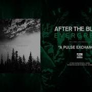 A Pulse Exchanged After The Burial
