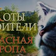 Коты Воители Опасная Тропа 7
