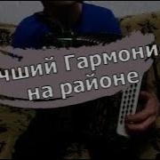 Что Дед Творит На Гармошке Вертуоз