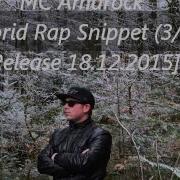 Mc Amarock Freunde