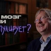 Иррациональный Мозг