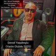 Davud Yaquboglu