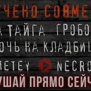 Страшные Истории От Паша Тайга