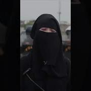 Tolibonlar Haqida Malumot