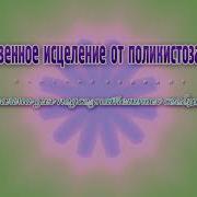 От Поликистоза Почек Жен Программа Для Подсознательных Сообщений Сытин