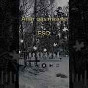 Anar Qasimzade
