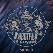 Подкаст Животные В Cтудии 1