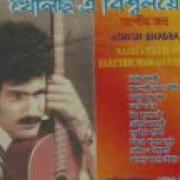 Ashish Bhadra Hawaiian Guitar