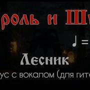 Лесник Минус Для Соло