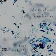 Camellia Dreamless Wanderer