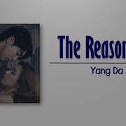 Yang Dail The Reason Why