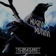 Fuimadane Huginn And Muninn