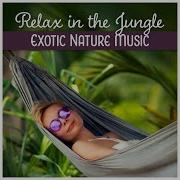 Dream A Little Dream Relaxing Nature Sounds Collection