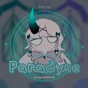 Paradyne Fnf