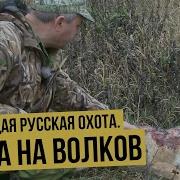 Охота На Волков 2019