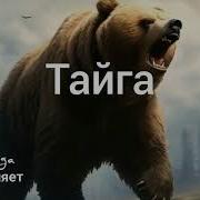 Новая Песня Тайга От Baba Yaga